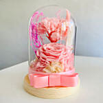 Vday Pink Forever Roses in Dome