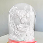 Vday White Forever Roses in Dome