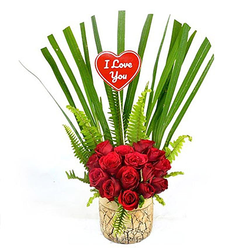 Love Red Rose Pot: Gift Delivery Sri Lanka