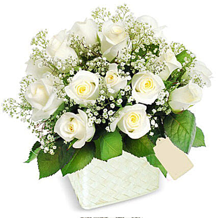 Pot Of White Roses: Send Flowers To Sri Lanka