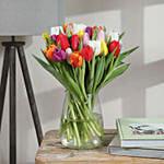 Blooming Mixed Tulips