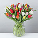 Blooming Mixed Tulips