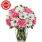 Daisy & Rose Delight