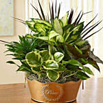 Peaceful Wishes Dish Garden