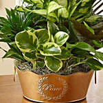 Peaceful Wishes Dish Garden