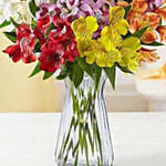 Peruvian Lilies In Vase