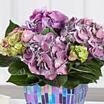 Purple Hydrangea In Mosaic Planter