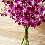 Purple Orchids