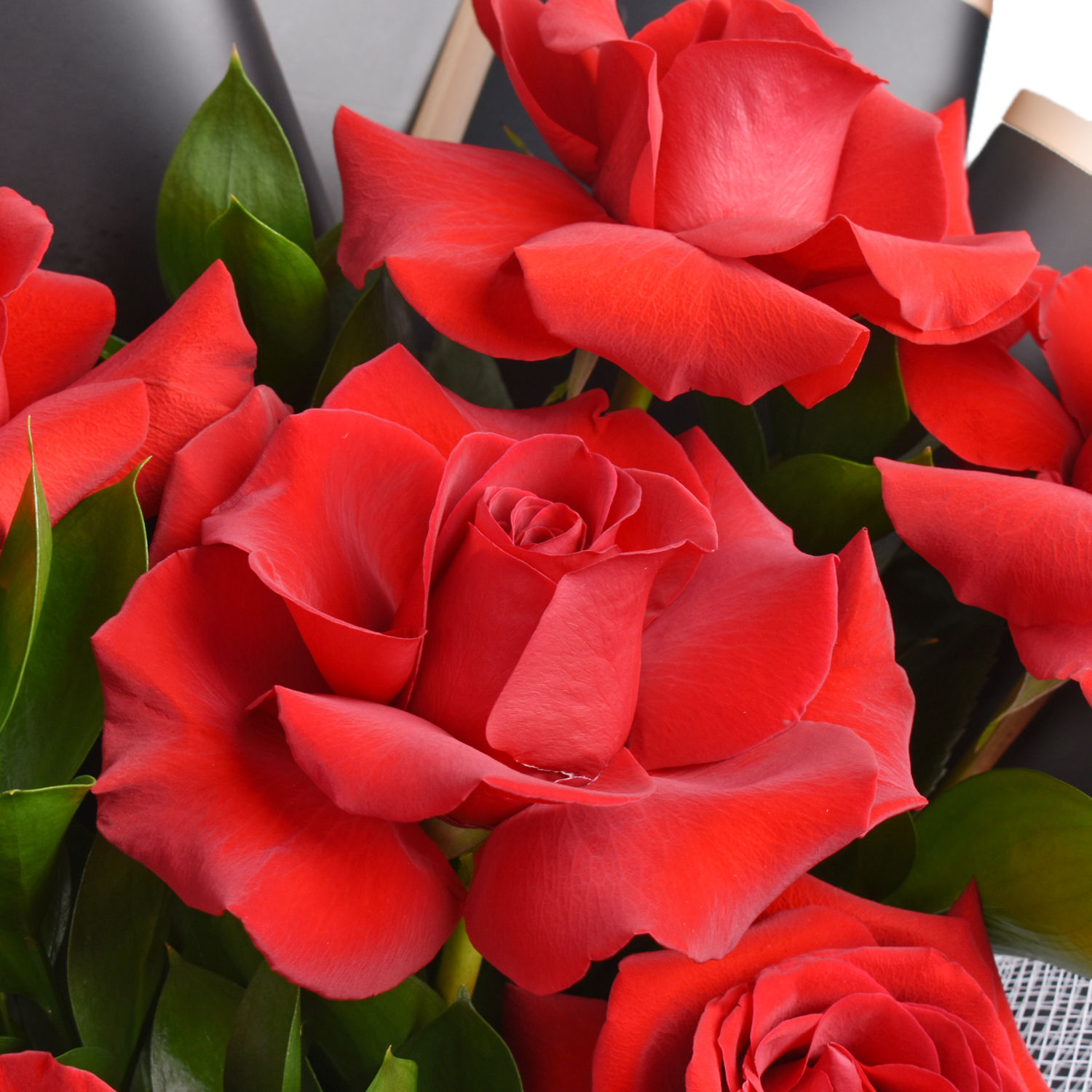 Fnp Red Roses Order Bouquet of 6 red roses Online | Same-Day Delivery UAE - Fnp.ae