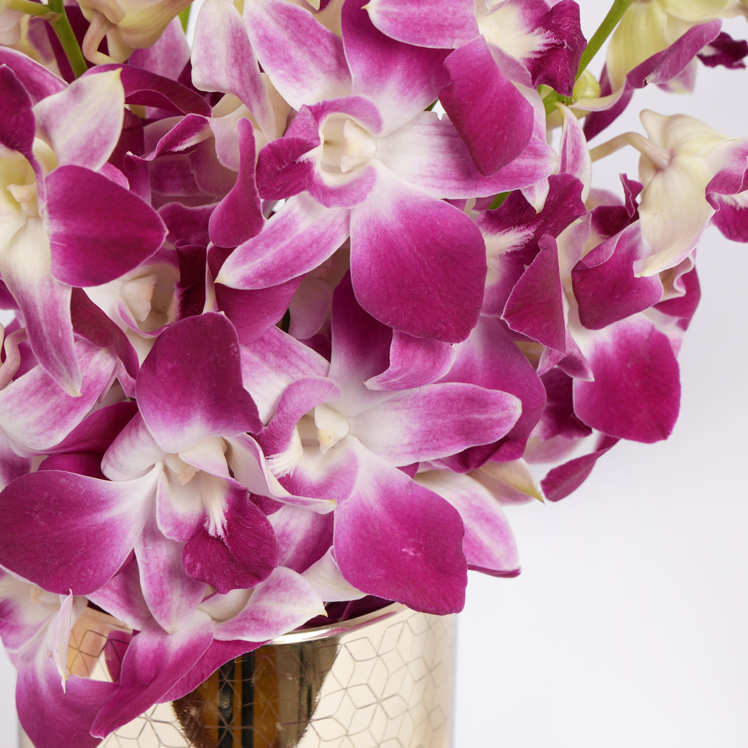 Order Pink Orchids in Glass Vase Online | Same-Day Delivery UAE - Fnp.ae