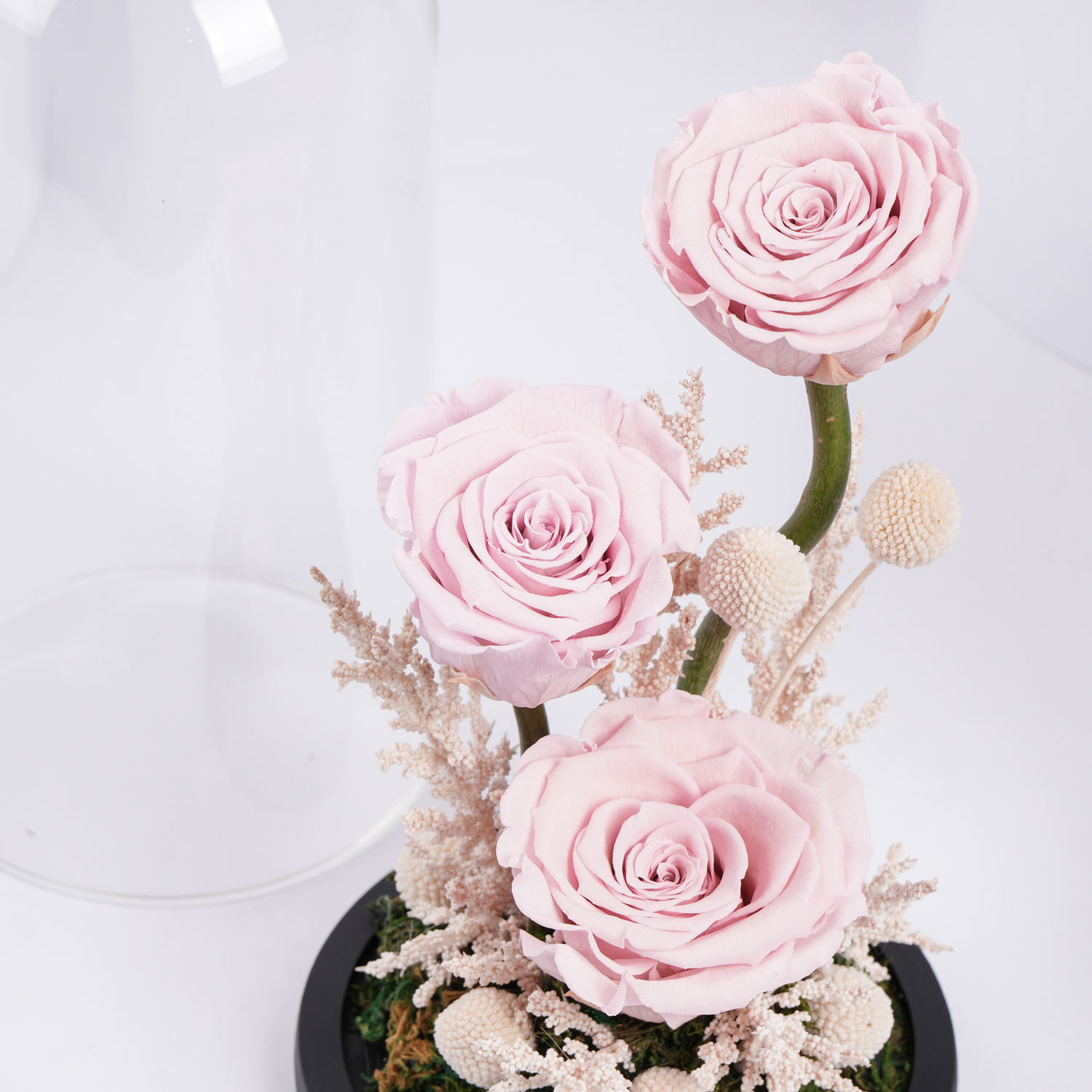 Order Pink Forever Roses Arrangement Online | Same-Day Delivery UAE ...
